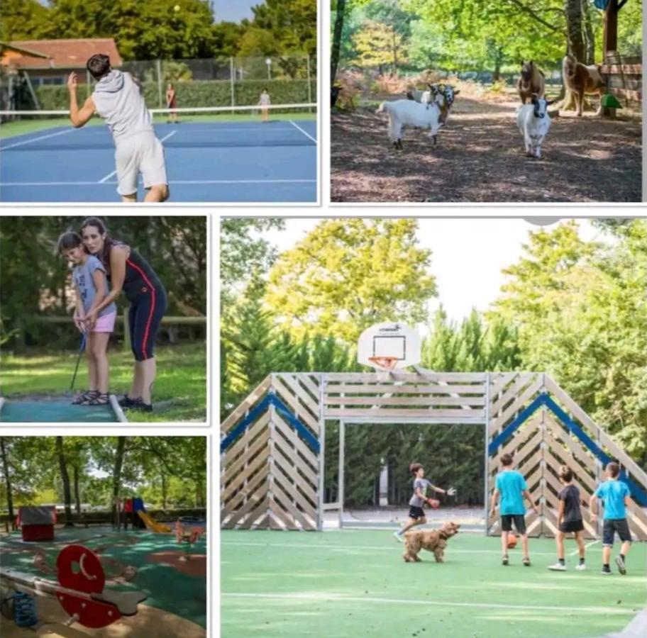 Campsite Cosy Bassin D'arcachon *